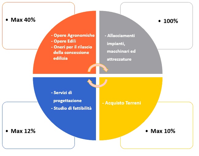 autoimprenditorialità