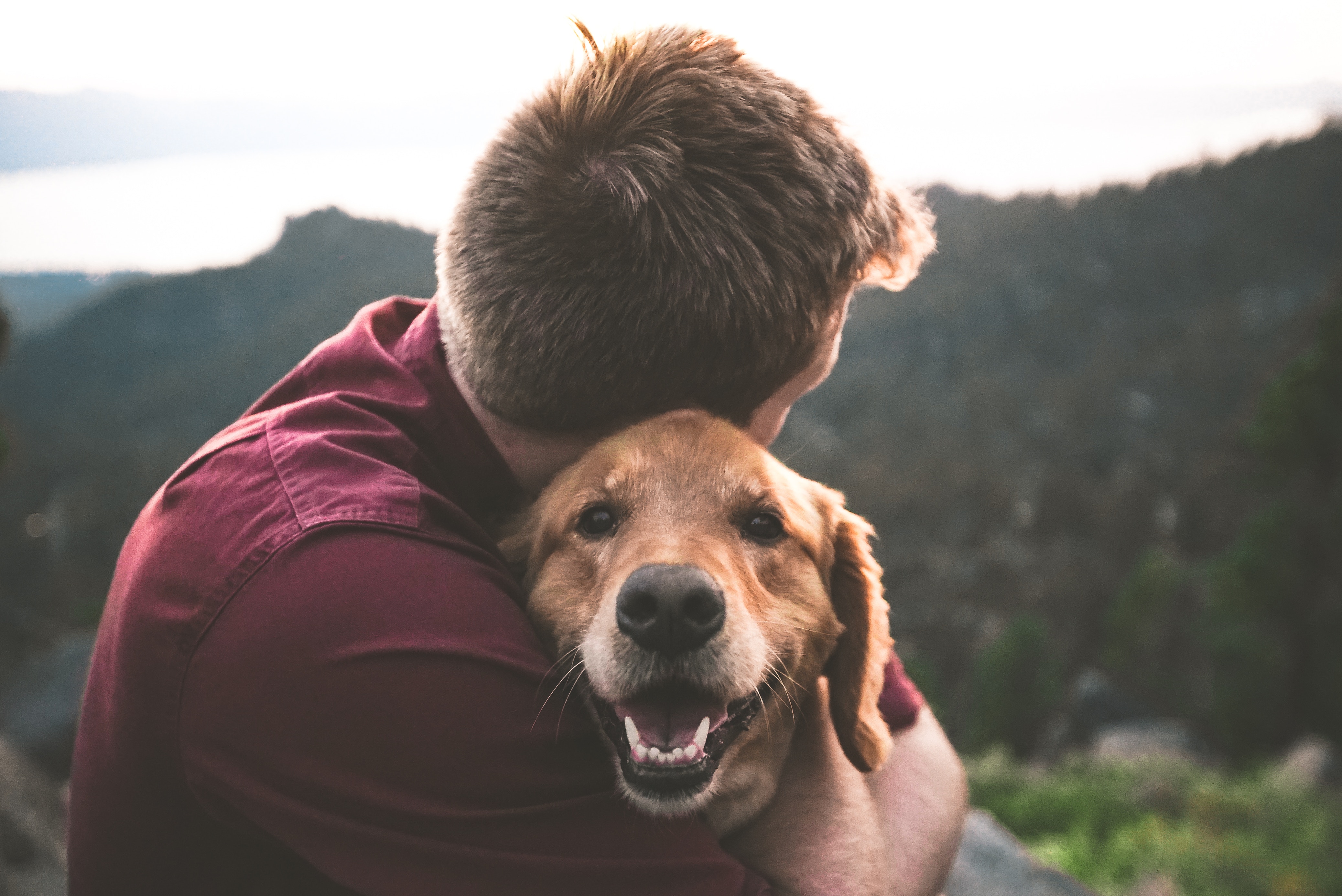 amore per gli animali